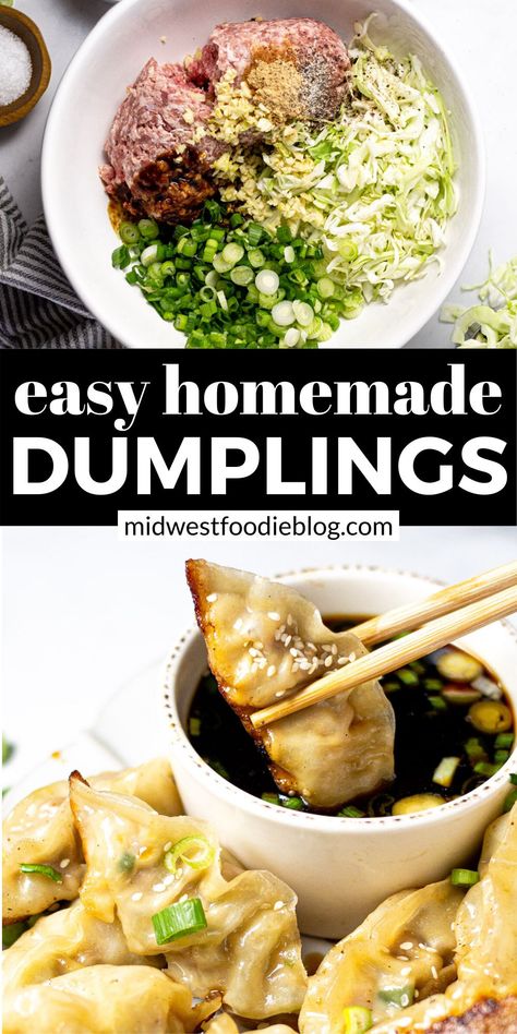 Easy Homemade Dumplings, Homemade Dumplings Recipe, Pork Dumplings, Homemade Chinese Food, Wonton Recipes, Pork Dumpling, Homemade Dumplings, Chinese Cooking Recipes, Dumplings Recipe