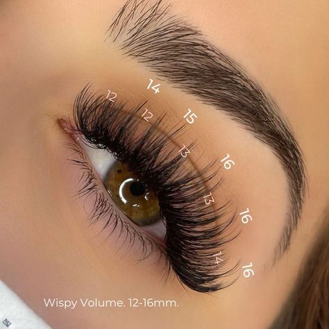 Dag Make Up, Whispy Lashes, Natural Fake Eyelashes, Best Lash Extensions, Lash Extentions, Lashes Fake Eyelashes, Wispy Eyelashes, Eyelash Technician, Smink Inspiration