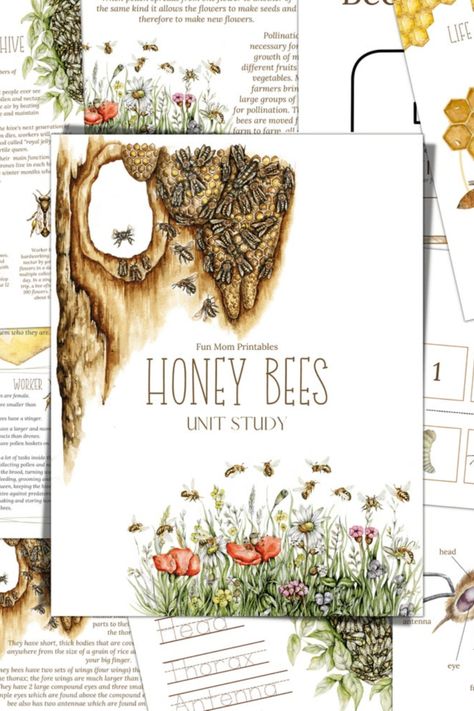 Honey Bees and Beekeeping Study Unit, Life Cycle, Anatomy, Nature Study, Science, Handwriting, Homeschool Montessori, Science Handwriting, Bee Unit Study, Homeschool Units, Study Science, Bee Life Cycle, Homeschool Montessori, Bee Activities, Bee Free