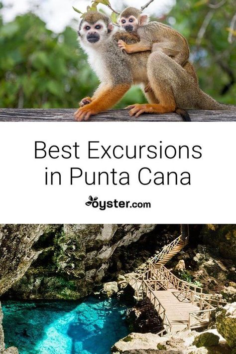 Punta Cana Bucket List, Excursions In Punta Cana, Excellence Punta Cana, Majestic Colonial Punta Cana, Punta Cana Excursions, Punta Cana Travel, Dominican Republic Vacation, Dominican Republic Travel, Bar And Lounge