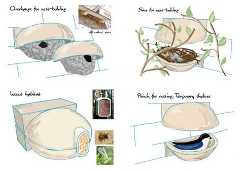 Brick Habitats: Mini-Gardens for Habitat Restoration Hillside Orchard, Habitat Restoration, Funny Furniture, Feral Cat House, Urban Wildlife, Bee Houses, Urban Habitat, Outdoor Cat Enclosure, Mini Gardens