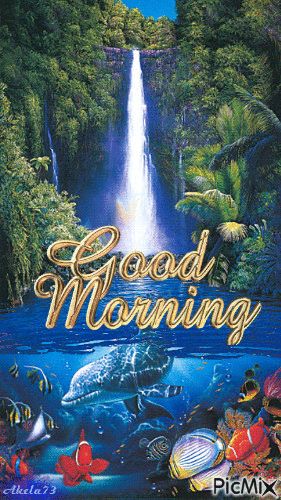 Good Morning Waterfall Images, Good Morning Gifs Nature, Latest Good Morning Gif, Good Morning Images Gif, Good Morning Gifs, Gif Good Morning, Good Morning Nature Images, Cute Good Morning Gif, Romantic Good Morning Quotes