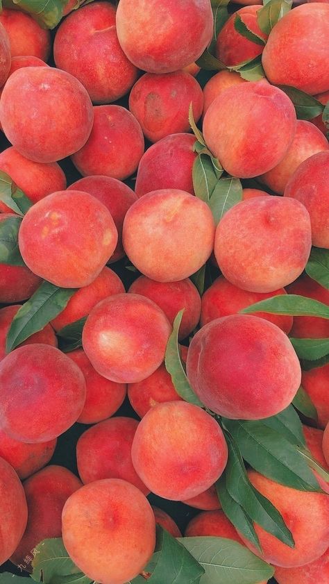 aesthetic Coral Pictures, Peach Wallpaper, Peach Background, Peach Aesthetic, Spring Scents, Peach Fruit, Still Life Photos, Food Wallpaper, Aesthetic Picture