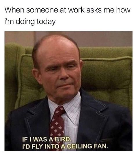 Funny Memes About Work, Workplace Humor, Seriously Funny, Clean Humor, Fresh Memes, Work Memes, Memes Humor, Funny Animal Memes, Komik Internet Fenomenleri