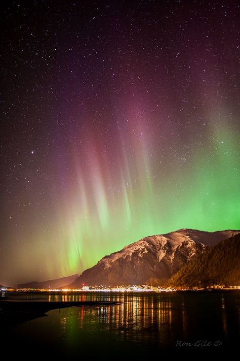 Northern Lights Aurora Borealis Juneau Alaska Christmas Chemistry, Aurora Borealis Alaska, Alaska Juneau, Alaska Northern Lights, Aurora Lights, Southern Lights, Aurora Australis, Northern Lights (aurora Borealis), Juneau Alaska