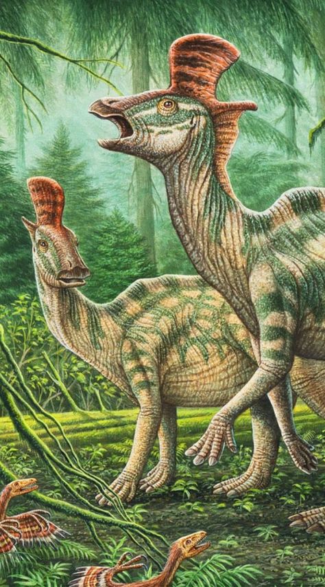 Herbivore Dinosaurs, Dinosaur Facts, Dinosaur Park, Prehistoric Wildlife, Prehistoric Dinosaurs, Dinosaur Wallpaper, All Dinosaurs, Dinosaur Images, Dinosaur Drawing