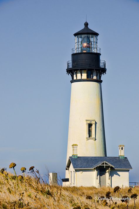 Light Houses Photography, Lighthouse With House, Light House Aesthetic, Light House Photography, Light House Drawing, Light House Painting, Lighthouse Living, Lighthouse House, Photos Of Buildings