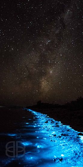 Cozumel, Ocean Of Stars, The Sea Of Stars, Sea Sparkle, Sea Of Stars, Wallpaper 3d, Tumblr Wallpaper, Beautiful Places To Travel, Beautiful Places To Visit