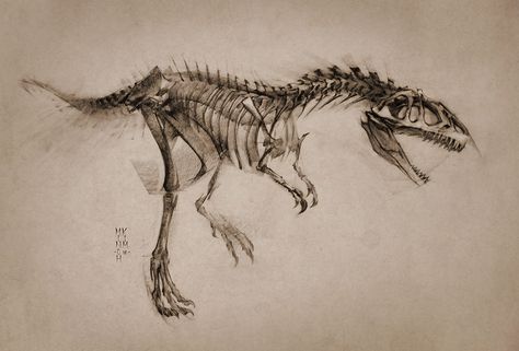 2016 Allosaurus by MinohKim Allosaurus Skeleton, Dinosaur Sketch, Meg White, Skeleton Face, Dinosaur Skeleton, Paleo Art, Skeleton Art, Dinosaur Art, Character Description