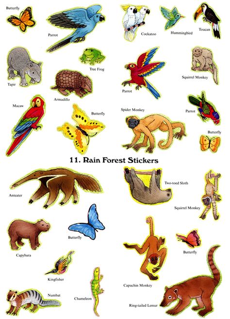 All sizes | Rain Forest "stickers" | Flickr - Photo Sharing! Rainforest Preschool, Rainforest Classroom, Amazon Rainforest Animals, Rainforest Crafts, Biomes Project, Preschool Jungle, Rainforest Project, Rainforest Activities, Rainforest Biome