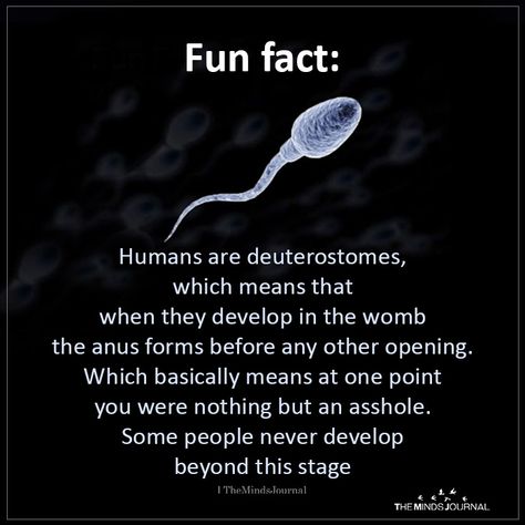 Fun Fact: Humans are Deuterostomes https://themindsjournal.com/fun-fact-humans-are-deuterostomes/ Humour, Fun Facts Mind Blown, Wierd Facts, Some Amazing Facts, True Interesting Facts, Interesting Facts About World, Psychology Fun Facts, Wow Facts, Weird Science