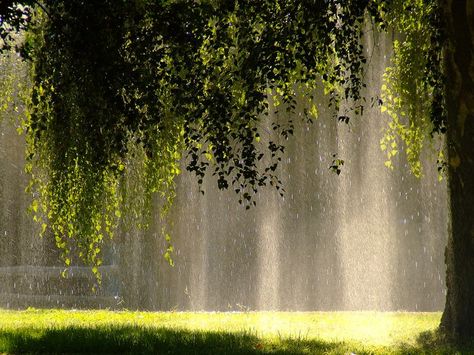 Rainbow Weather: What Ingredients Are Needed to Make a Rainbow? Fotografi Digital, Hiasan Bilik, Alam Semula Jadi, Nature Aesthetic, Middle Earth, Pretty Places, Green Aesthetic, Pretty Pictures, Secret Garden