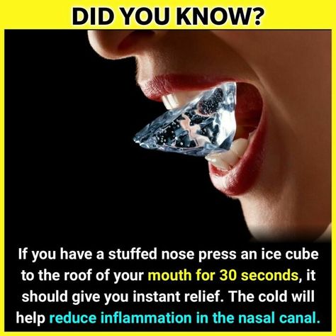 The 'Facts Encyclopedia' Instagram Is Dedicated To Sharing Unknown Facts Daily, Here're 40 Of The Most Fascinating Ones Clogged Nose, Heart Facts, Strange Facts, True Interesting Facts, Unknown Facts, Cool Science Facts, Amazing Science Facts, Buddhism Quote, Facts You Didnt Know