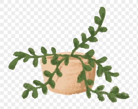 Animated Plants Aesthetic, Cute Png Aesthetic Transparent, Notion Icon Transparent Background, Notion Icon Transparent, Cute Png Icons Transparent Background, Plant Png Aesthetic, Notion Icons Png, Notion Icon Png Transparent, Plant Pot Drawing