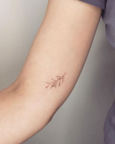 Greece Tattoo Ideas Small, Olive Tree Tattoos, Hairdresser Tattoos, Greece Tattoo, Olive Tattoo, Delicate Tattoos For Women, Olive Branch Tattoo, Lavender Tattoo, Branch Tattoo