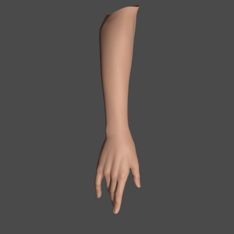 Arm Model Reference For Tattoo, Arm Model, Anatomy Tattoo, Female Pose, Body Template, Anatomy Models, Human Anatomy Drawing, Human Body Parts, Hand Pose