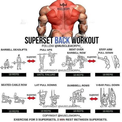 Chest Workouts, Back Exercises, Gym Antrenmanları, Weight Training Workouts, Gym Routine, Workout Chart, Biceps Workout, Body Fitness, Gym Workout Tips