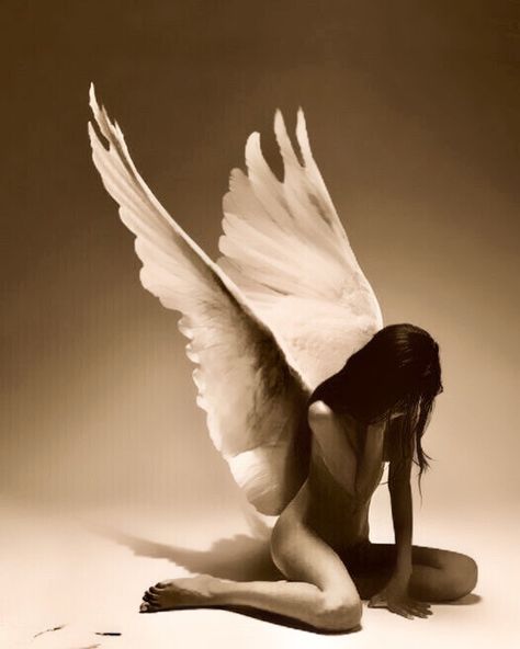 angel Tumblr, Photoshoot With Angel Wings, Falling Angel Reference, Angel Wings Art Reference, Angel Refrence Pose, Fallen Angel Pose Reference, Gothic Angel Aesthetic, Female Angel Aesthetic, Reference Photos Angel