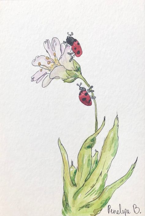 Two Lady Bugs on a Flower Watercolor Postcard - Etsy UK Watercolor Bugs, Watercolor Postcards, Watercolor Postcard, Two Ladies, Lady Bugs, Flower Watercolor, Watercolor Ideas, Flower Stamp, Ink Pen