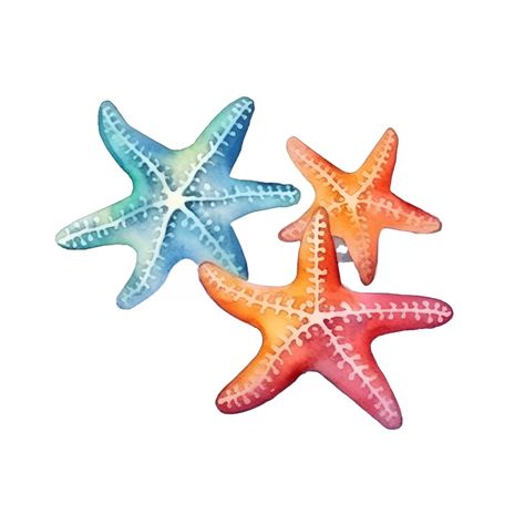 Starfish Watercolor Clipart AI Generated Starfish Clipart, Starfish Watercolor, Starfish Drawing, Watercolor Starfish, Starfish Painting, Sea Starfish, Starfish Art, Sea Turtle Watercolor, Turtle Watercolor