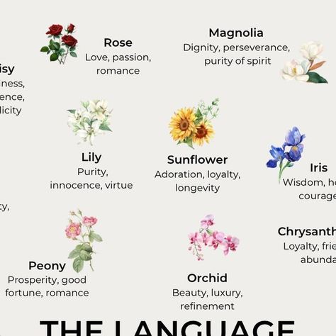 Spiritual Meaning Of Plants, Flowers Meaning Love, Flower Symbolism Meaning, Flowers And Meanings, Daisy Meaning, Daisy Flower Meaning, Peaceful Flowers, Flowers Language, Peony Meaning