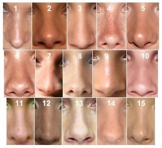 Different nose shapes, can be used as a reference in drawing a face. Different Nose Shapes, Nose Types, 얼굴 드로잉, Výtvarné Reference, Nose Drawing, Face Drawing Reference, Nose Shapes, Human Reference, Anatomy Drawing