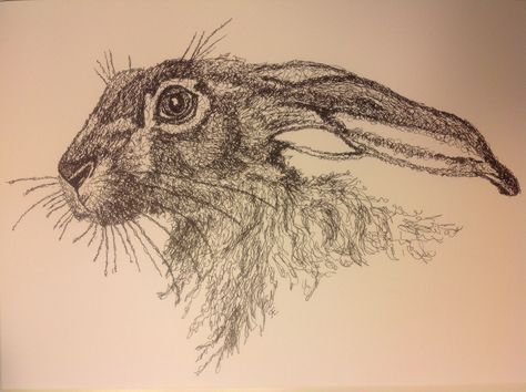 Scribble art hare black pen permanent 0.2 Croquis, Pen Scribble Art, Wednesday Tattoo, Hare Sketch, Hare Tattoo, Hare Drawing, Hare Pictures, Hare Illustration, Hare Art