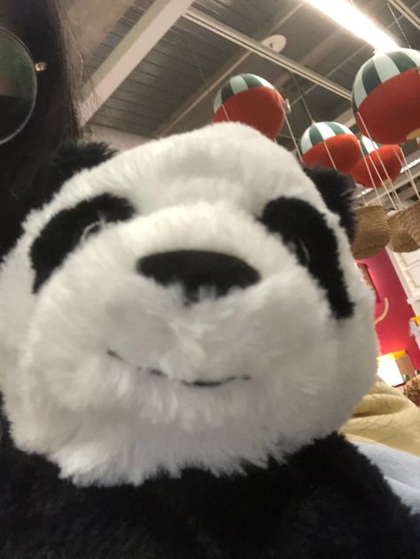 Pandas, Panda Pfp, Panda Plushie, Panda Teddy Bear, Panda Stuffed Animal, Ikea Toys, Silly Animals, Cute Stuffed Animals, Cute Panda