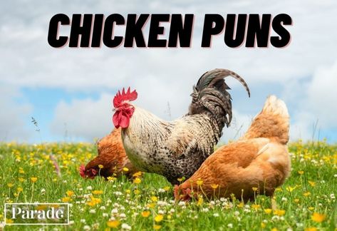50 Chicken Puns That Are Eggs-cellently Funny Funny Chicken Memes, Chicken Puns, Text Friends, Chick Quotes, Chicken Quotes, Chicken Jokes, Chicken Drawing, Chicken Shop, Cat Puns