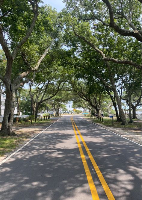 #aesthetictrees #aesthetic #trees #road Road Between Trees, Kos, Nature, Aesthetic Trees, Road Aesthetic, Usa Street, Road Pictures, Road Photography, Summer Trees