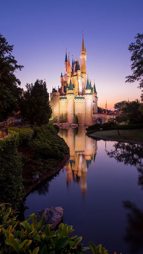 Cinderella castle Iphone Backgrounds, Disney Phone Backgrounds, Disney Castles, Princess Life, Disney Wallpapers, Princess Wallpaper, Disney Photography, Cinderella Castle, Disney Castle
