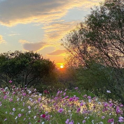 Wallpaper Spring, Pretty Landscapes, Cottage Core Aesthetic, Pretty Sky, Spring Aesthetic, Alam Yang Indah, Flower Aesthetic, Nature Aesthetic, Pretty Places