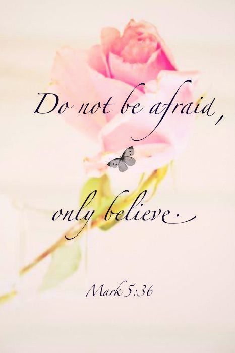 Mark 5:36 KJV ~ As soon as Jesus heard the word that was spoken, he saith unto the ruler of the synagogue, Be not afraid, only believe. Woord Van God, Mark 5, Ayat Alkitab, You Are, Favorite Bible Verses, For You, If You, Scripture Quotes, Bible Inspiration