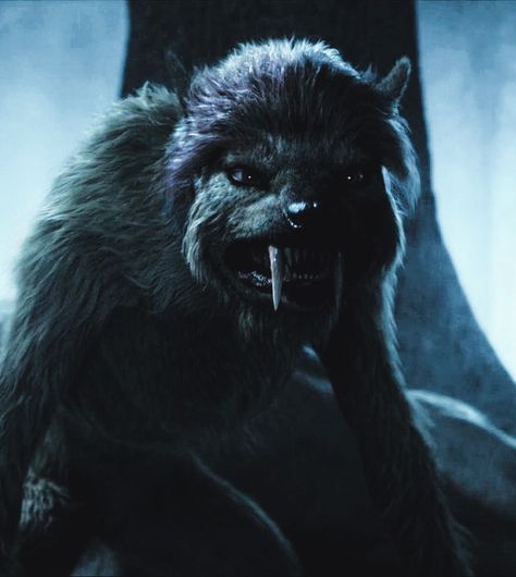 Wednesday Enid Wolf, Enid Sinclair Werewolf, Enid Sinclair Wolf, Enid Werewolf, Wear Wolf, Addams Family Characters, Enid Sinclair, Werewolf Aesthetic, Percy Hynes White