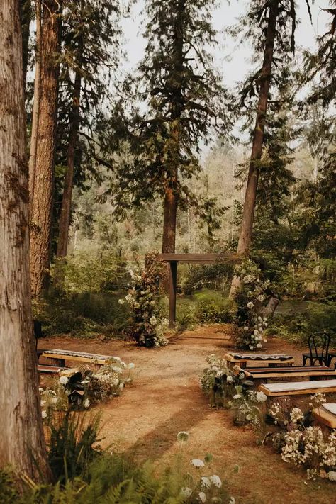 Modern Cottage Core Wedding, Summer Camp Wedding Aesthetic, Small Outdoor Wedding Aesthetic, Cottage Core Fairy Wedding, Backyard Wedding Country, Country Forest Wedding, Tamarack Wedding Idaho, Outside Wedding Ideas Fall, Autumn Woods Wedding