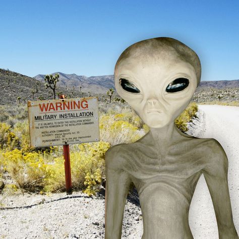 Facebook Users Want to ‘See Them Aliens,’ May Ambush Area 51 Aliens Meme, Area 51 Aliens, Naruto Run, The Untold Truth, Aliens Exist, Aliens And Ufos, Facebook Users, Ufo Sighting, Facebook Event