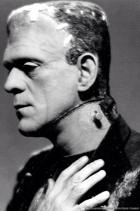 Bolt neck Boris Karloff Frankenstein, Old Hollywood Vintage, Universal Horror, Horror Classics, Universal Studios Monsters, Frankenstein Art, Monster Movies, Paradise Hotel, Hollywood Vintage