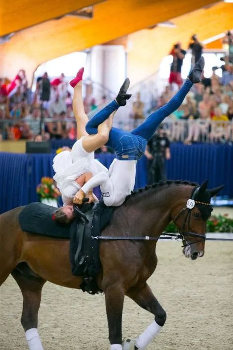 Horse Vaulting Moves, Equestrian Vaulting Moves, Equestrian Vaulting, Vaulting Equestrian, Horse Vaulting, Trick Riding, Boxing Girl, The Greatest Showman, Equestrian Life