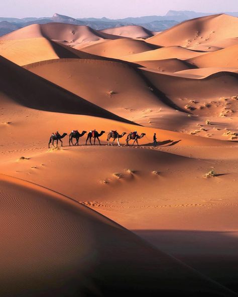 Desert Morocco, Desert Sahara, Deserts Of The World, Desert Photography, Desert Dream, Texas Art, Desert Life, Travel Music, Morocco Travel