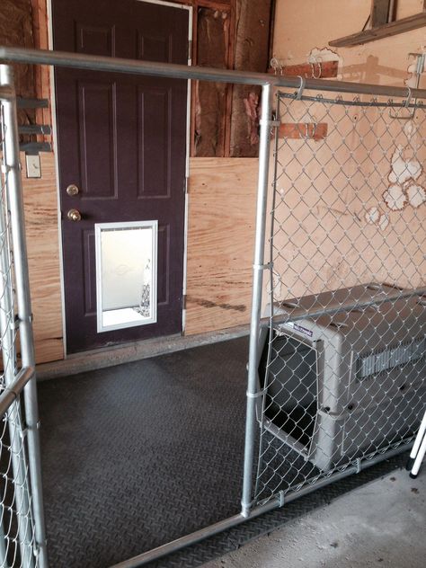 Indoor Dog Kennel Ideas, Indoor Dog Area, Dog Kennel Ideas Indoor, Metal Dog Kennel, Building A Dog Kennel, Indoor Dog Kennel, Kennel Ideas, Dog Spaces, Dog Room