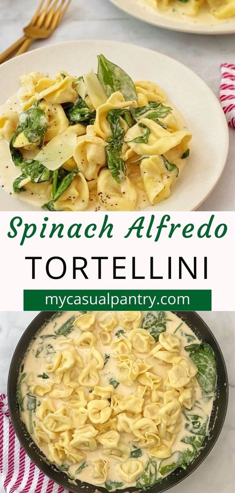 Essen, Tortellini Sauce Recipes, Spinach And Ricotta Tortellini, Alfredo Tortellini, Cheese Tortellini Recipes, Spinach And Ricotta Ravioli, Tortellini Alfredo, Salsa Alfredo, Spinach Alfredo