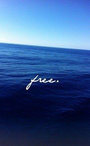 Be free.                                                                                                                                                      More Marine Life, Bohol, Socrates, John Green, Yahoo Mail, Beach Life, Beautiful Words, Croatia, Make Me Smile