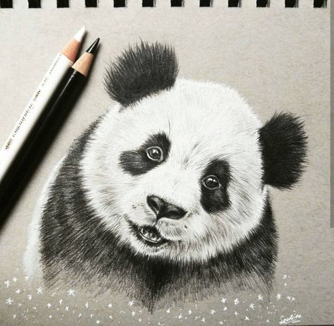 Panda drawing Panda Sketch, Drawing Logo, Panda Drawing, Sketches Drawing, Panda Tattoo, Trail Ride, Pencil Drawings Of Animals, Sketches Art, Icelandic Horses