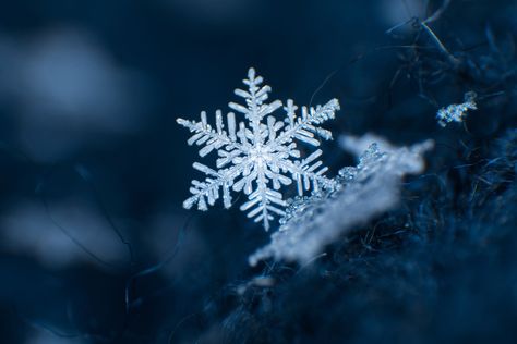 These intricate, one-of-a-kind ice crystals form when precipitation falls through varying levels of humidity and temperatures in the air. Ice Aesthetic, Snowflakes Real, Snowflake Photos, Whatsapp Wallpaper, Ice Crystals, Snowflake Nails, Winter Snowflakes, Wood Candles, Winter Aesthetic