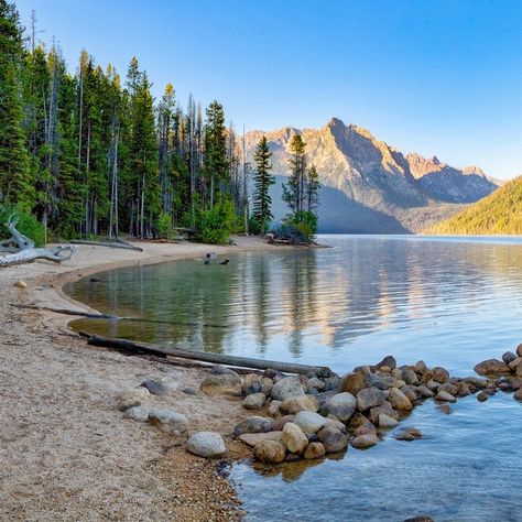 Redfish Lake Idaho, Idaho Adventure, Visit Idaho, Idaho Travel, Lake Lodge, Idaho Falls, Lake Fishing, Alpine Lake, Red Fish