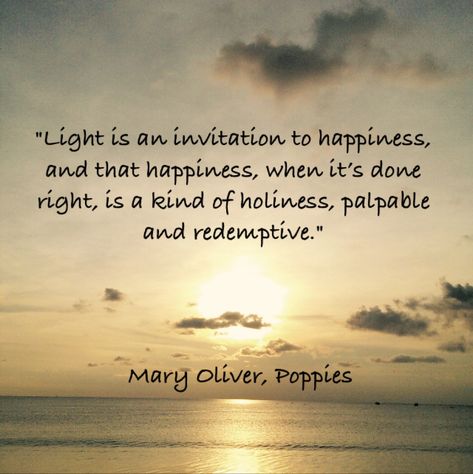 Poems About Light, Delicious Quotes, Mystical Quotes, Self Belief Quotes, Mary Oliver Quotes, Mary Oliver Poems, Earth History, Inspirational Quotes About Strength, Light Quotes