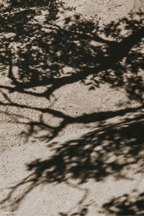 Tree shadow on a dirt road | free image by rawpixel.com / Teddy Rawpixel Trees Landscape Photography, Tree Shadow Photography, Dirt Aesthetic, Dirt Photography, Shadows Aesthetic, Ziggy Berman, Shadow Aesthetic, Shadow Tree, Tree Shadow