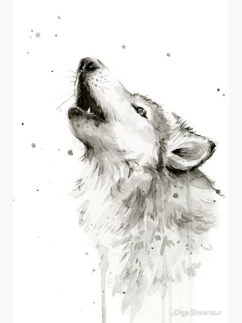 "Wolf Howling Watercolor" Photographic Print by olga-shvartsur | Redbubble Wolf Watercolor, Watercolor Wolf, Watercolor Paintings Of Animals, Wolf Painting, Wolf Drawing, Howling Wolf, Wildlife Paintings, White Wolf, Wolf Howling