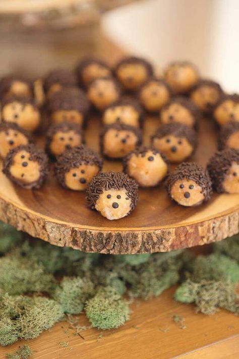If you've decided to have a woodland baby shower theme, then, you've made the right choice! Check these ideas out to help you plan the perfect baby shower! Woodland Animal Cheese Balls, Woodland Animal Desserts, Hedgehog Buckeyes, Forest Theme Treats, Forest Party Food Ideas, Woodland Theme Snacks, Forest Animals Party, Nature Party Food, Woodland Party Food Ideas