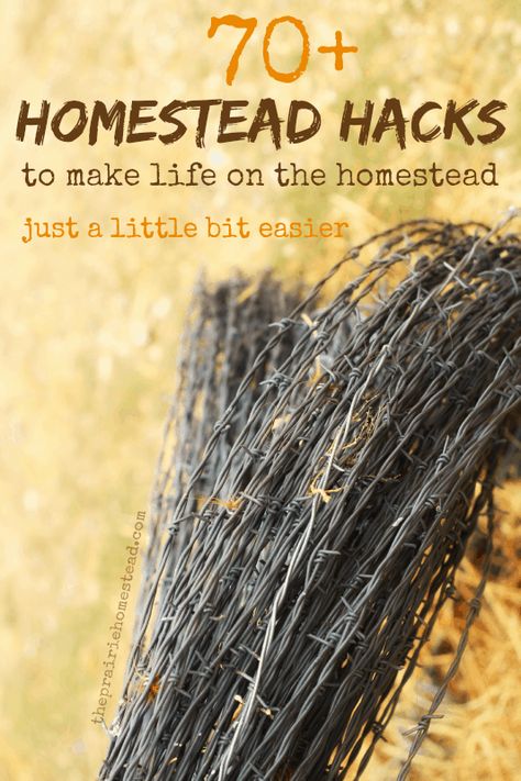 70+ Homestead Hacks | The Prairie Homestead Urban Homesteading, The Prairie Homestead, Prairie Homestead, Homestead Farm, Homestead Gardens, Homesteading Skills, Permaculture Design, Homestead Living, Mini Farm